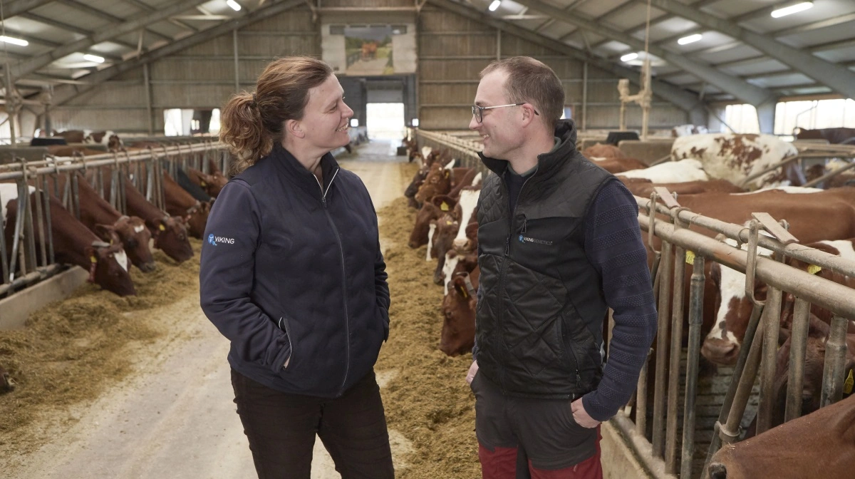 Årets legatmodtagere, Anne Kathrine og Johan Bebe, overtog Aalegaard i Sallingelunde for otte år siden med 125 RDM-køer. I dag er besætningen på 200 køer, og de har ingen planer om udvidelser. Fotos: Erik Hansen
