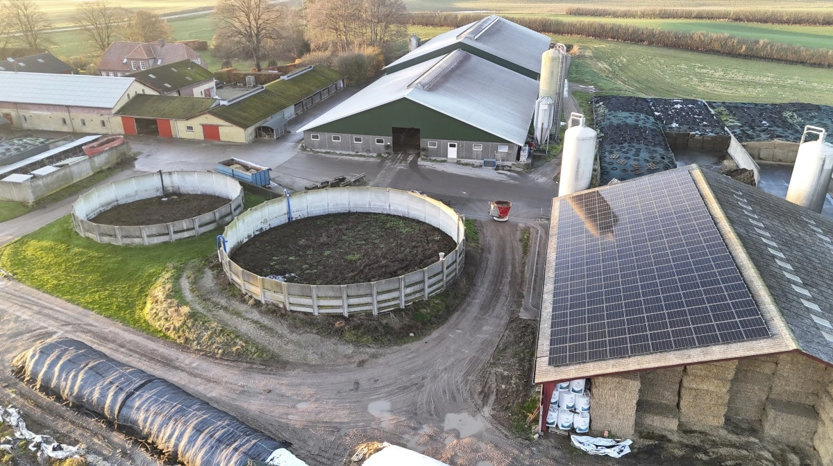 Seneste investering er et 50 kW solcelleanlæg med batterier, som kan levere strøm til fem-seks timers forbrug. Foran stalden er den røde foderrobot på vej ind med en foderration til de 200 røde køer.