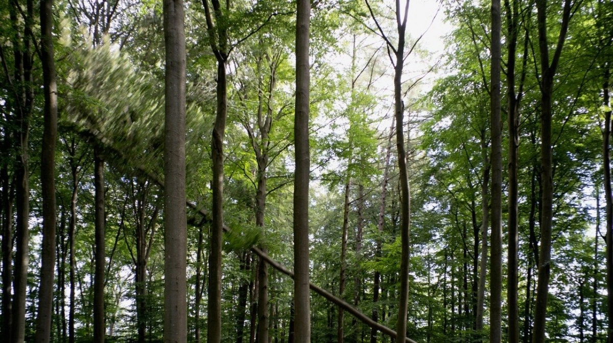 »Træfald«. Af Rune Bosse, 