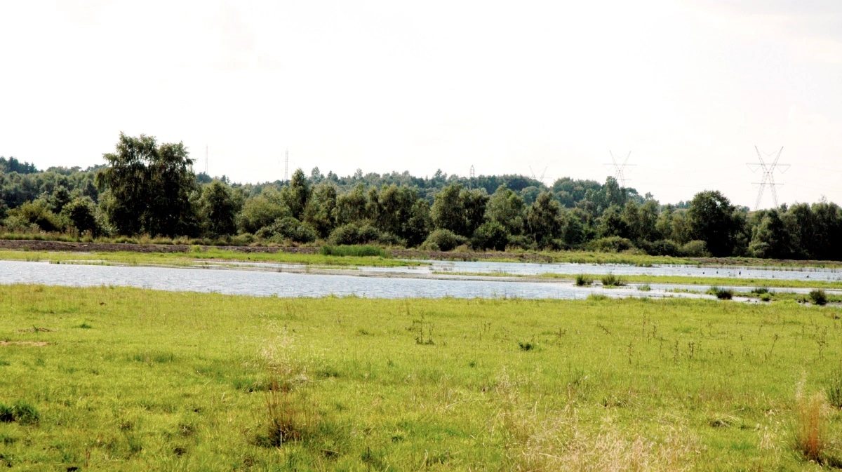 Der er stor fokus på naturen, og det fylder naturligvis også meget i de sjællandske landboforeninger. Arkivfoto