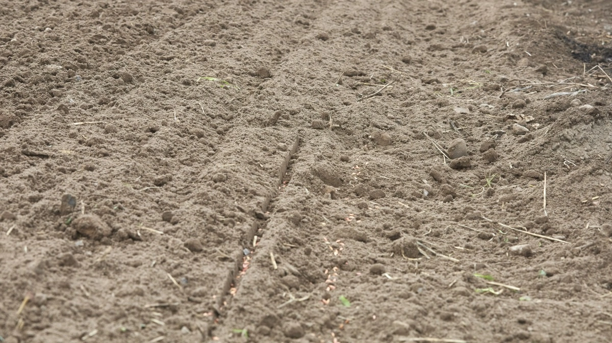 Man skal ikke blive forblændet af at få en fremstrakt hånd og et godt her og nu-tilbud, lyder rådet. Arkivfoto: Erik Hansen