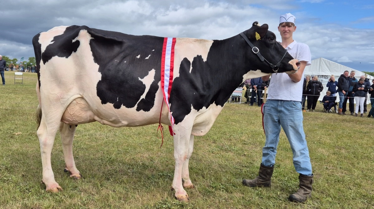 Der er nyheder i vente, når Landbrugsmessen Gl. Estrup slår dørene op fredag og lørdag den 22. og 23. maj. Arkivfotos: Tenna Bang