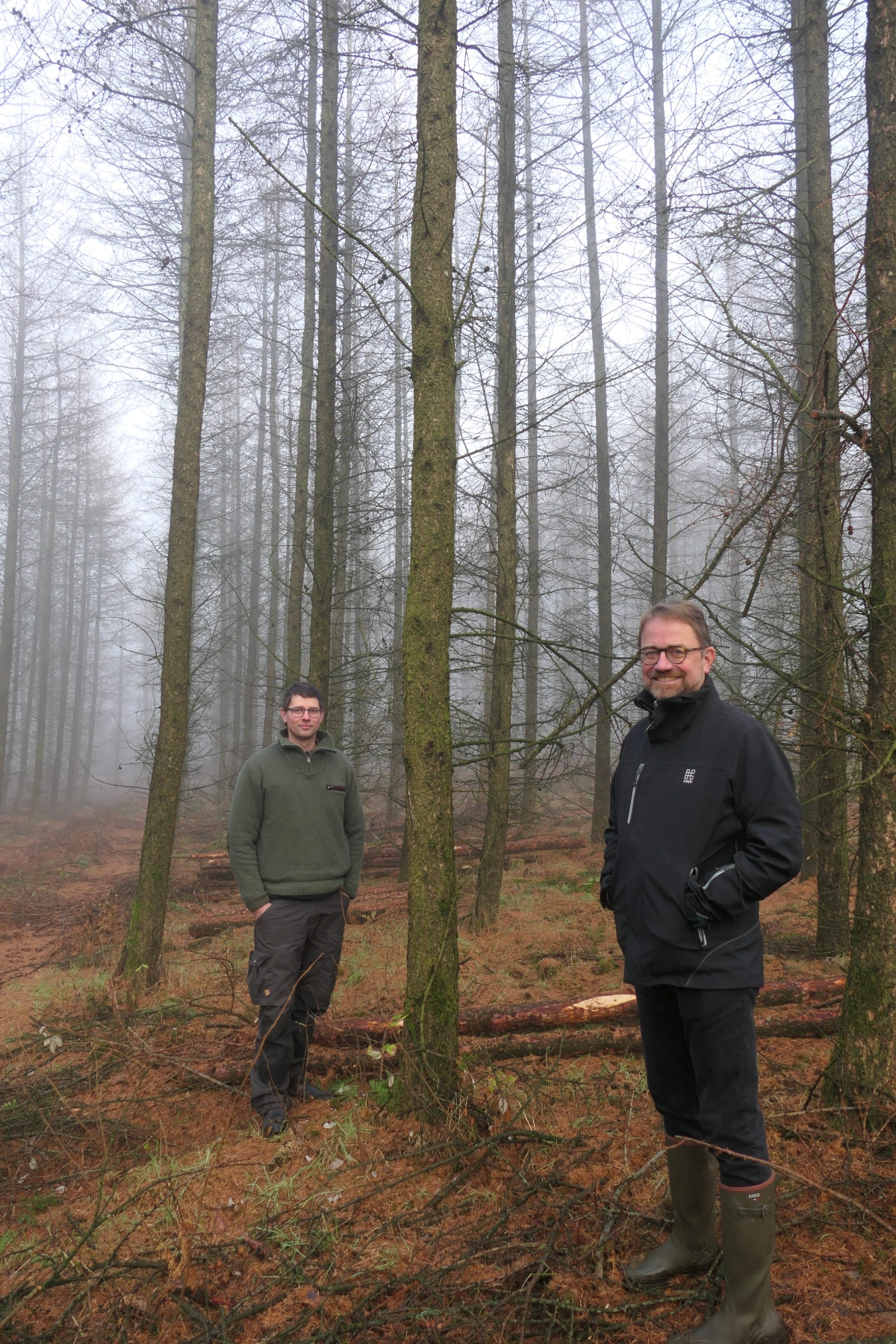 En udtynding gjorde godt. Anders Brøgger Jensen fra Skovdyrkerne og Peter Vind Larsen fra Kirkbi Climate sigter begge mod størst mulig nytteværdi i denne cirka 20 år gamle kultur med lærk.