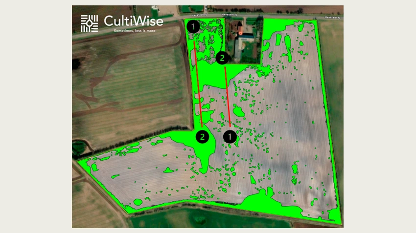 Tildelingsfilen fra Cultiwise fra droneoverflyning viser spredt forekomst af hanespore.