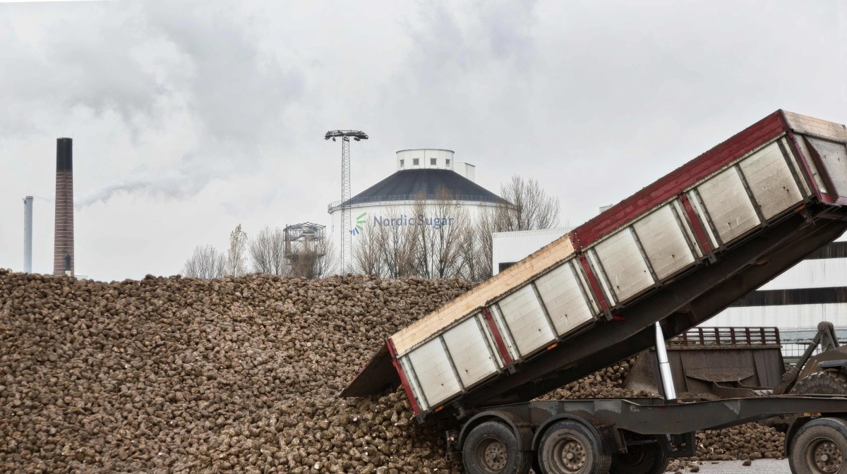 Sukkerprisen falder igen, drevet af høje globale udbytter og svag dollar; niveauet er nu tæt på femårs-lavpunktet. Arkivfoto