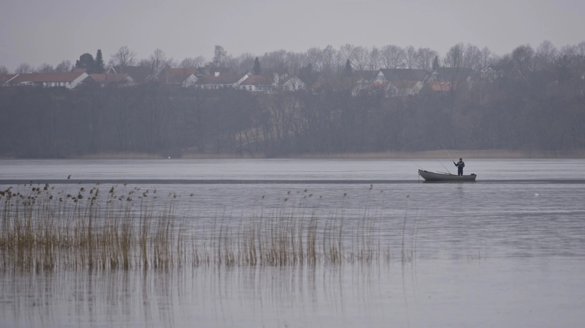 I flere dele af landet er der gang i en indsats for at sænke kvælstofudledningerne, blandt andet via minivådområder, men også via større vådområder. Arkivfoto