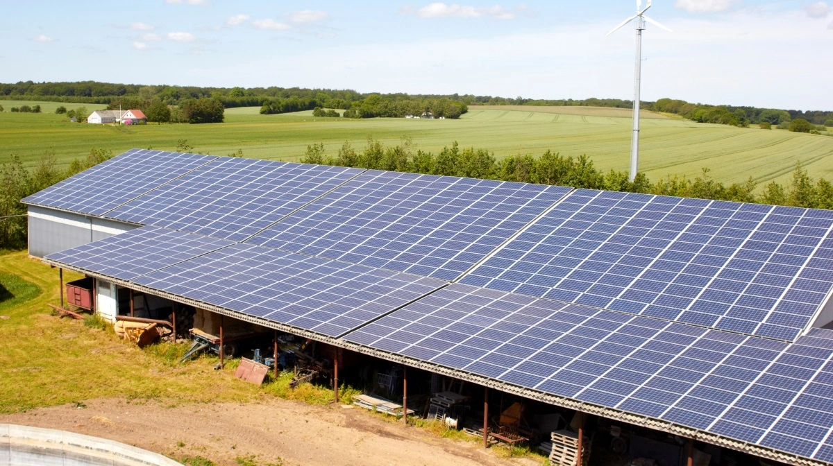 De er blevet mere og mere udbredt - men mange steder også mere udskældt. Nu er ordet jernmarker kåret som årets ord. Arkivfoto: Tenna Bang