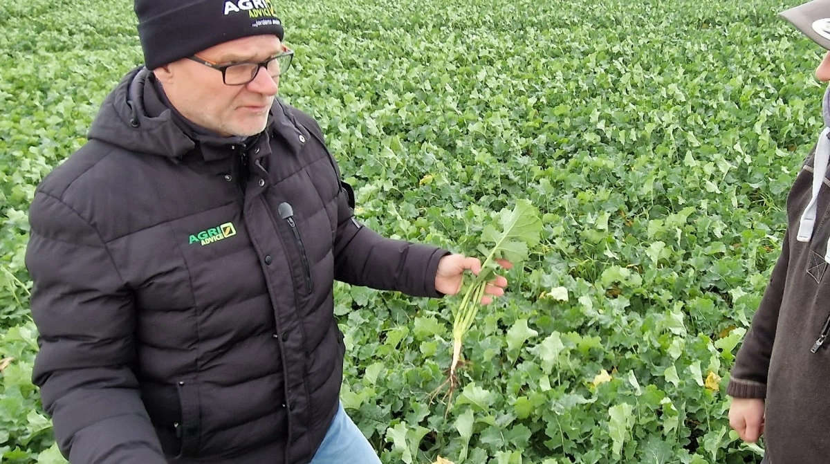 - Jeg gætter på, at nok 80 procent af landmændene får bestilt disse midler inden fristen den 31. december, lyder Hans Jørgen Baks vurdering. Arkivfoto: Jørgen P. Jensen