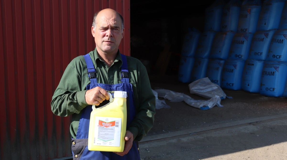 Det kan være særlig vanskeligt at vurdere behovet for vintersædsarealet til efteråret 2026 på grund af den nye kvælstofregulering - og dermed behovet for indkøb af Mateno Duo. Her landmand Kristian Jensen med en dunk. 