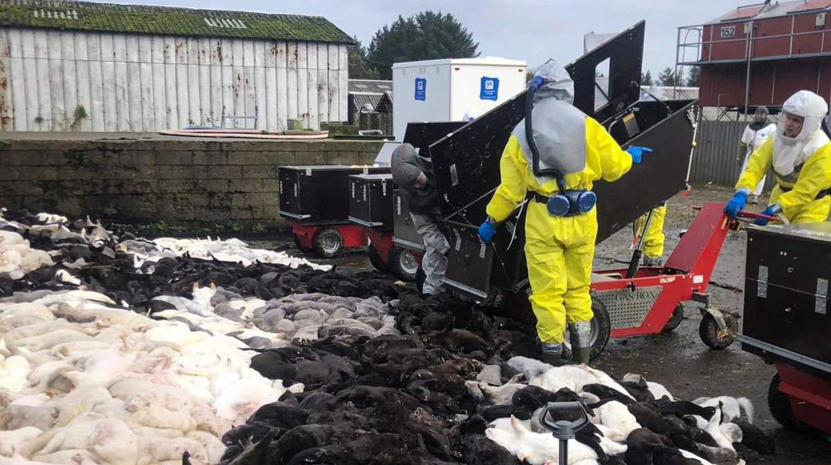 Under corona-krisen indførte statsminister Mette Frederiksen systematisk sletning af SMS'er. Siden har der foregået et stort arbejde med at genskabe slettede SMS'er hos politikere og embedsfolk i forbindelse mink-skandalen. Foto: Brian Langballe Kristiansen