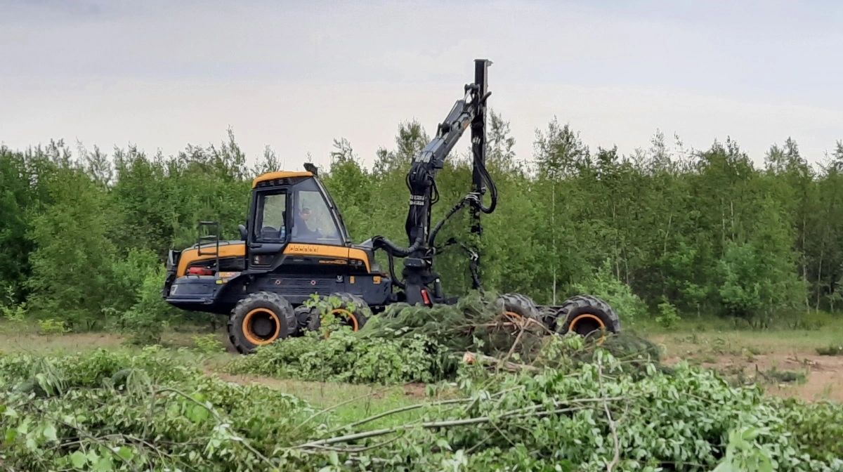 Der er blevet mere arbejde i de danske skove i de seneste år, hvor skovarealet i Danmark har været på hastig fremgang. Arkivfoto