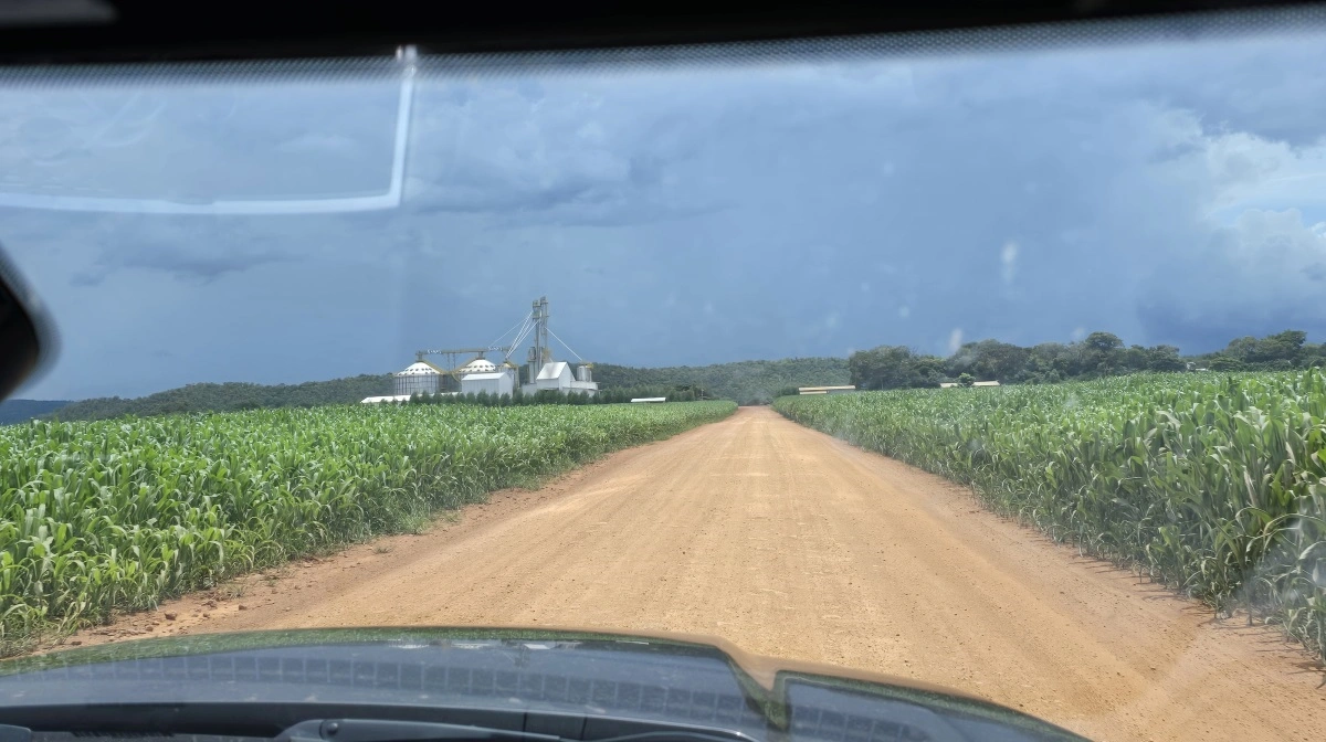 Det nybyggede gårdanlæg ses her bag endeløse marker med majs.