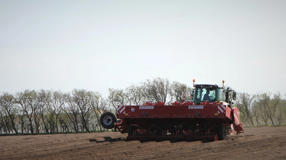 I 2026 fordobler Thorsens Chipskartofler produktionen af læggekartofler fra 70 til 140 hektar, og i 2030 er målet, at der skal dyrkes læggekartofler på mellem 600 og 700 hektar. Arkivfoto: Kasper Stougård 