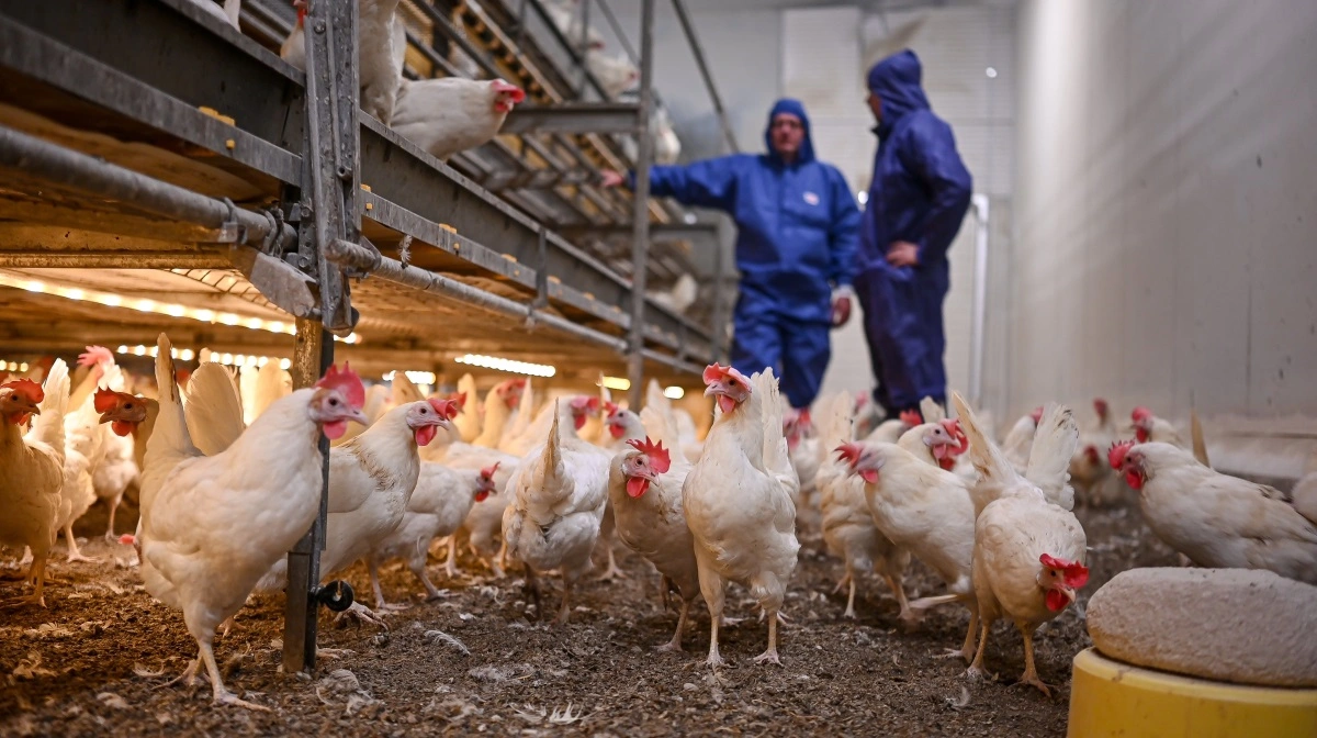 Landmeco mere end fordobler omsætningen i 2025 sammenlignet med 2024. Fotos: Landmeco