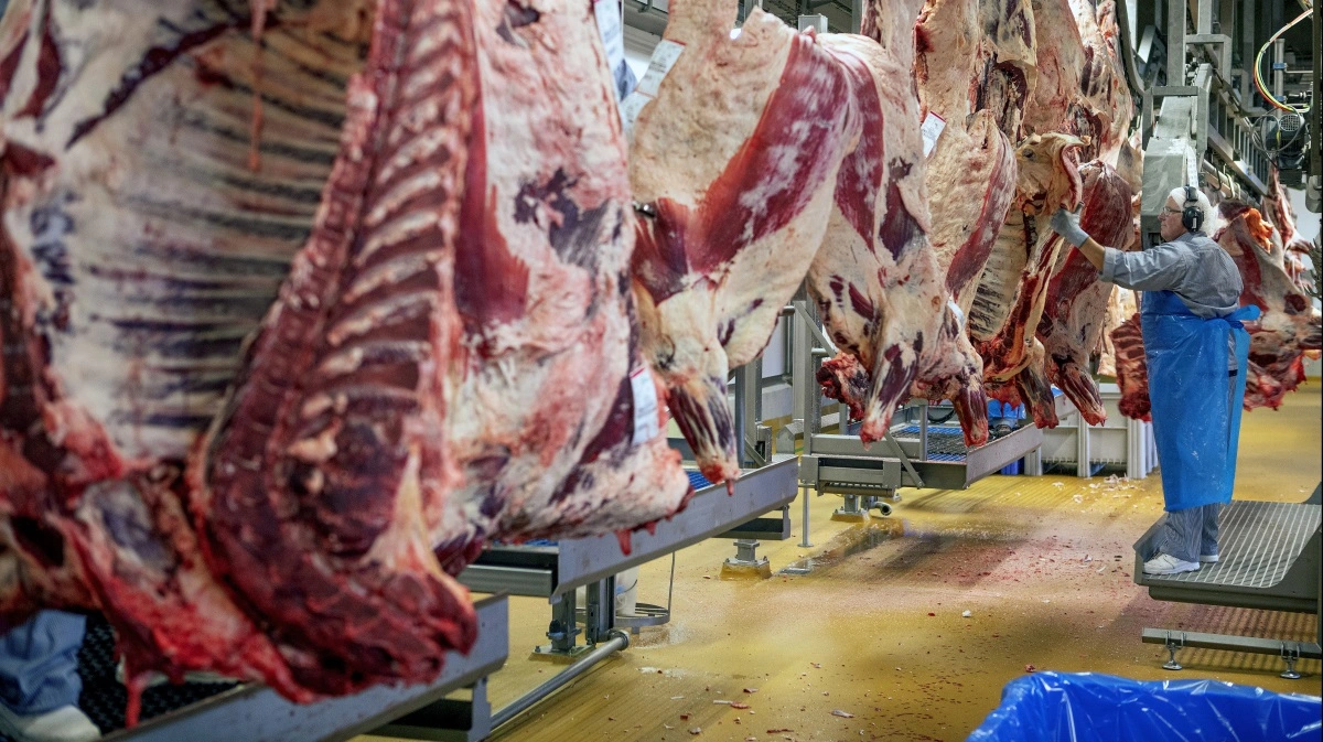 Et flertal i Europa-Parlamentet ønsker, at beskyttelsesforanstaltninger kan indføres hurtigere og aktiveres, hvis de importerede varer ikke lever op til EU's produktionsstandarder. Foto: Red Star Photo