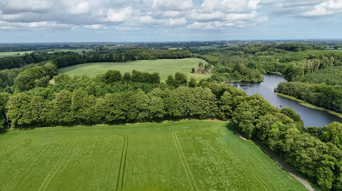 Arkivfoto: Per Jørgensen