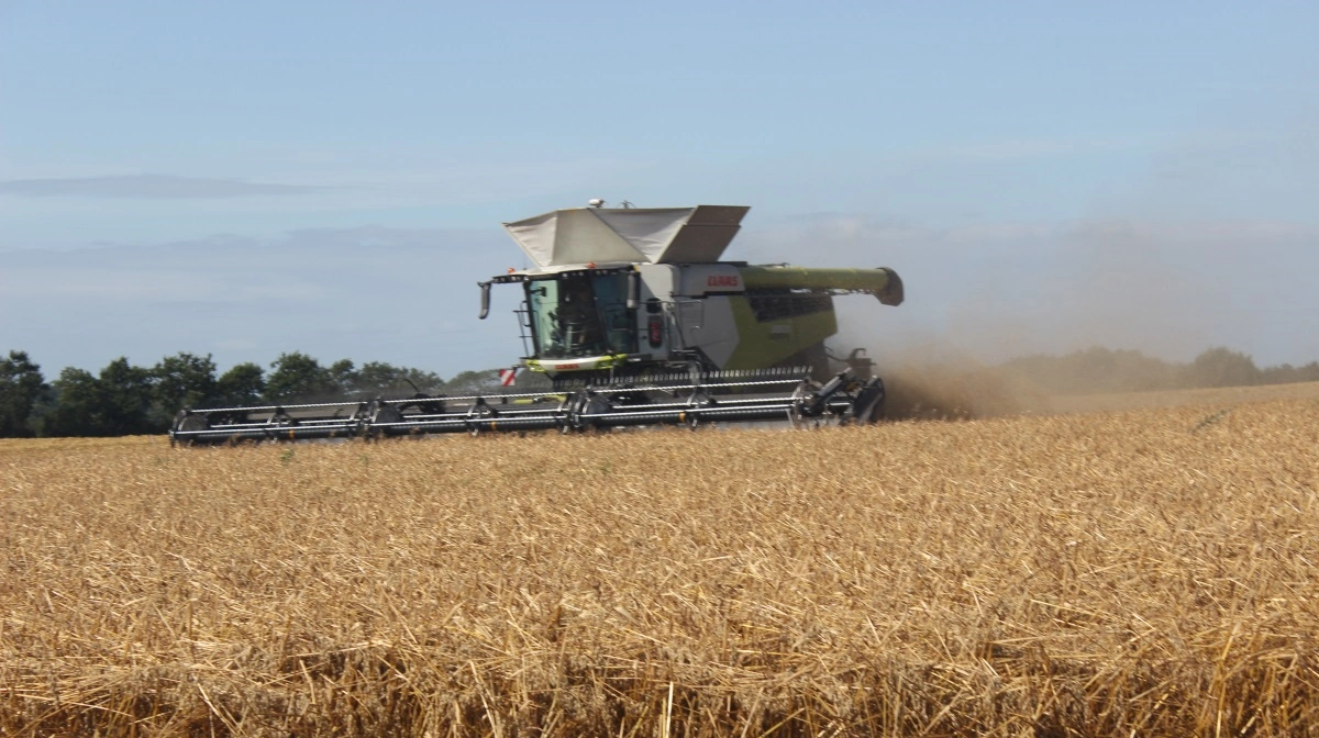 2025 har været et historisk godt år for dansk landbrug. Men der er store forandringer i horisonten, og både planteavlere og husdyrproducenter går en turbulent tid i møde. Arkivfoto: Anne Wolfenberg