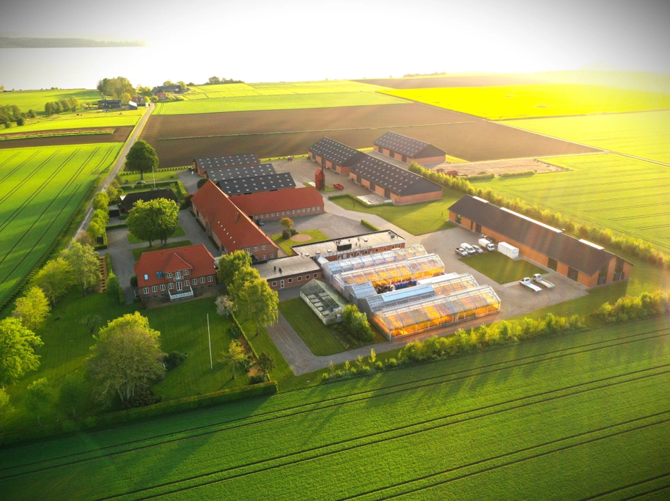 Sejet Planteforædling i Horsens. Foto: DLG