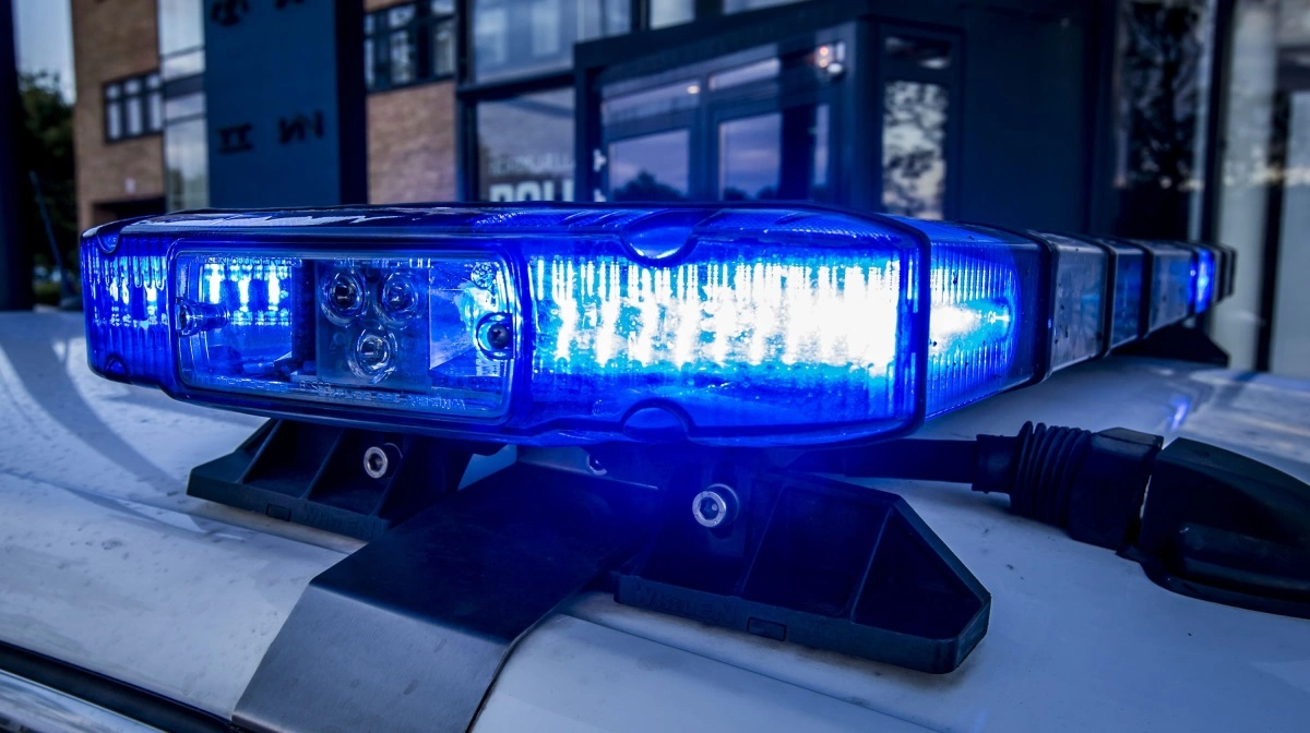 Det fik stor omtale, da politiets enhed for særlig økonomisk kriminalitet slog til overfor et netværk af minkavlere efter hvidvask af penge. Men onsdag blev en tidligere minkavler frifundet i den såkaldte Operation Bianco. Modelfoto; Rigspolitiet