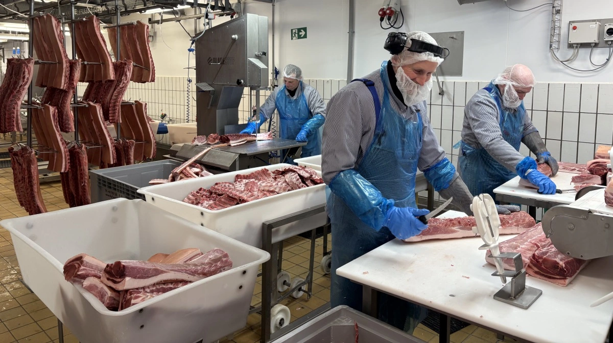 Danish Crown slår rekord i julesalget med tocifret vækst, drevet af høj efterspørgsel på premium- og velfærdsgrise. Foto: Danish Crown