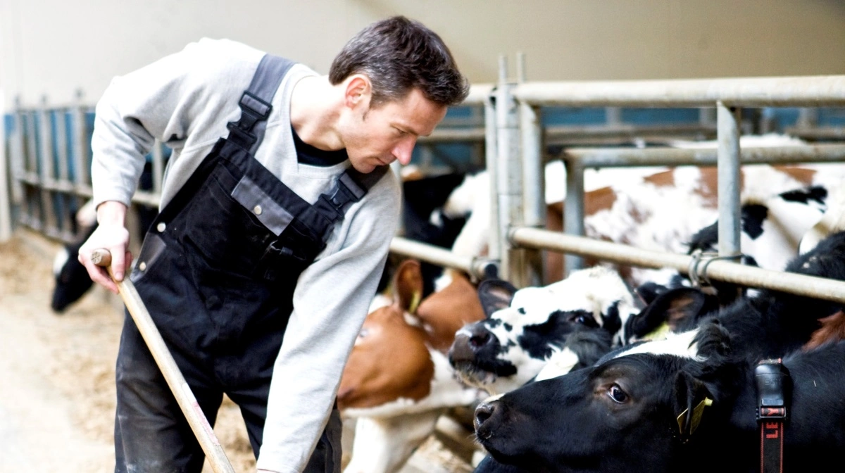 En systematisk analyse af lønomkostninger – baseret på regnskaber og driftsgrensanalyser – kan give indsigt i variationen pr. produceret enhed og afdække potentialet for optimering. Foto: Colourbox