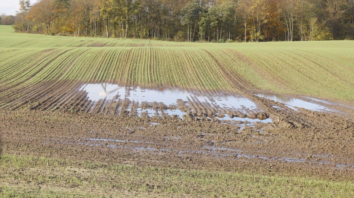 Arkivfoto: Erik Hansen