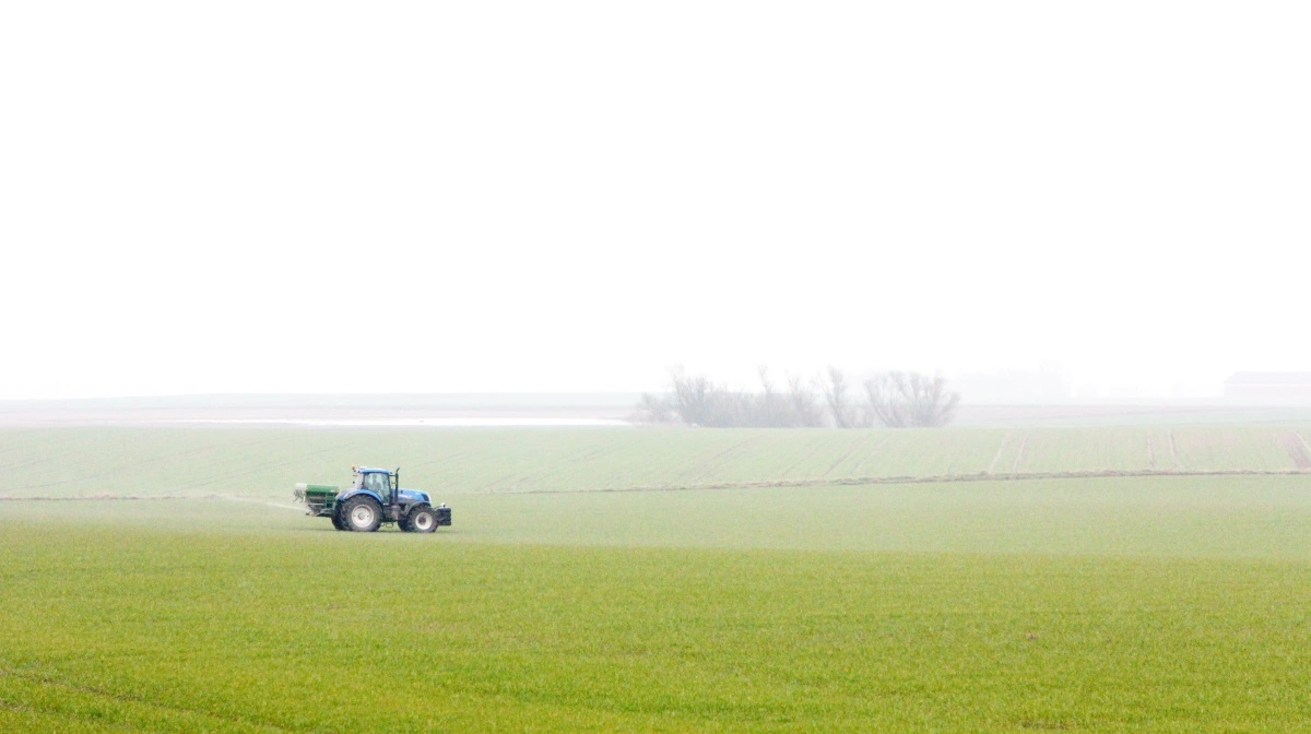 Ligesom i 2025 skal ordningen i 2026 sikre en kvælstofreduktion på i alt 3.500 tons, svarende til 360.000 hektar efterafgrøder. Arkivfoto