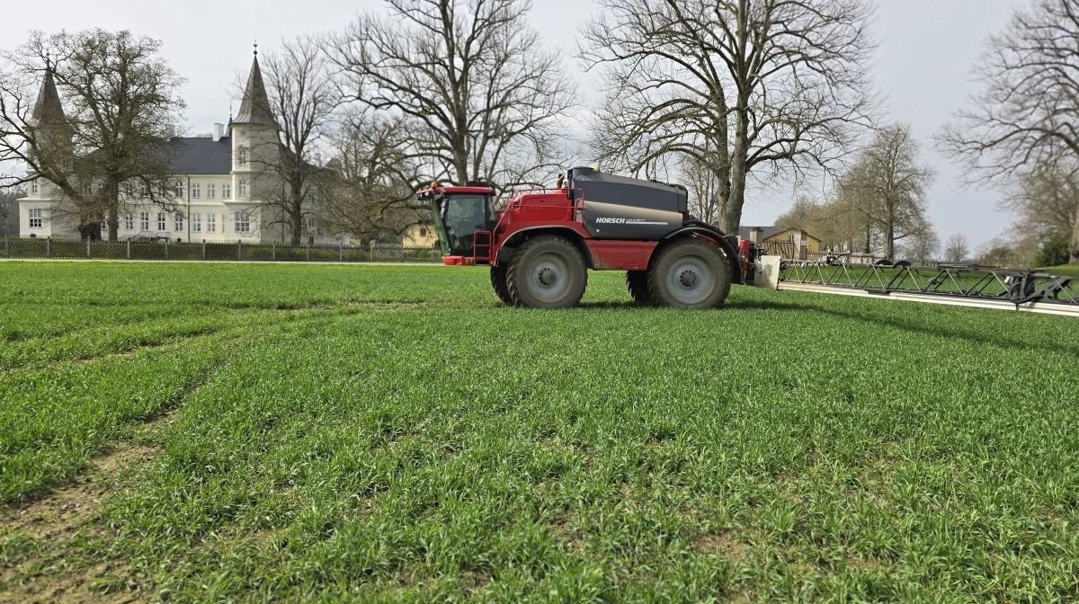 I 2026 søger et firma om godkendelse af et stof fra brunalger, der vil kunne aktivere resistens mod svampesygdomme i landbrugsafgrøder. Arkivfoto: Jørgen P. Jensen