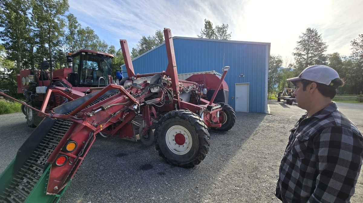 En stor kartoffeloptager på Kenn Hoffmanns nabofarm, der er Alaskas største specialafgrødeproducent.