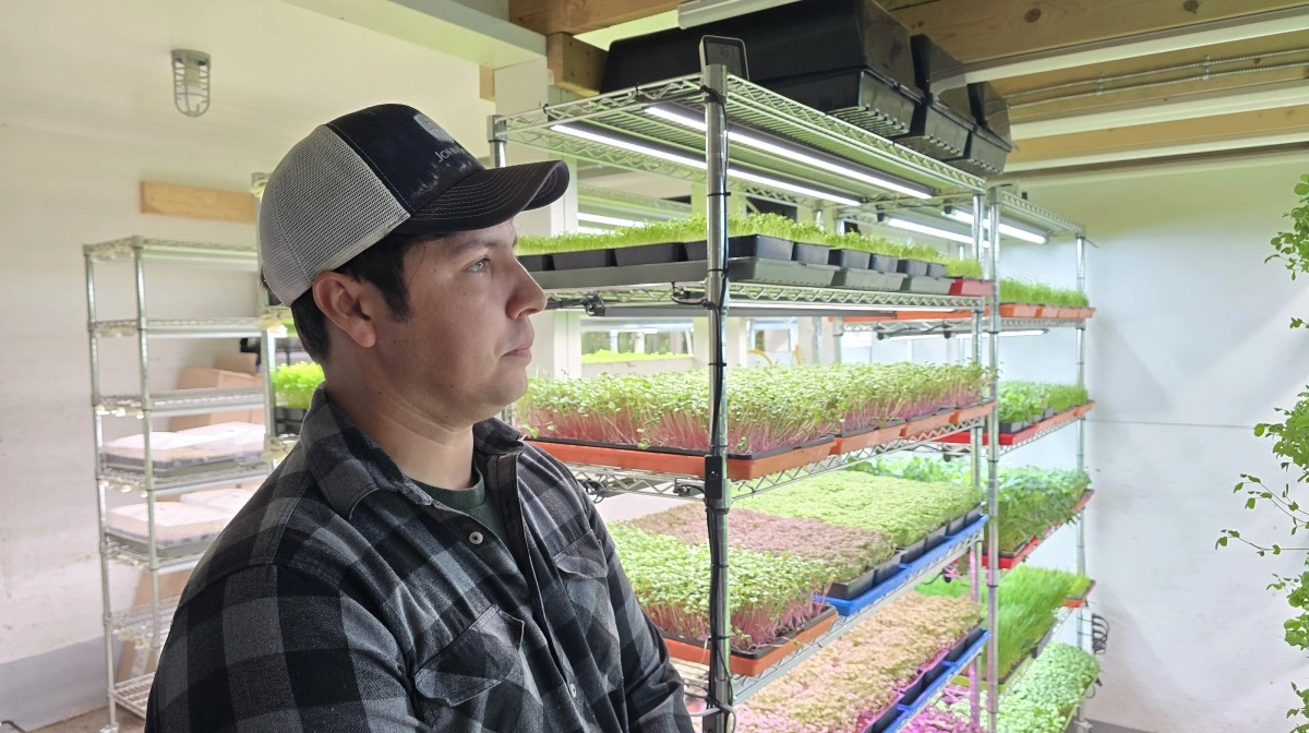 - I juni med mange besøgende turister i Alaska kan hvert stativ med kimplanter give over 100.000 kroner i indtægt, fortæller Kenn Hoffmann.