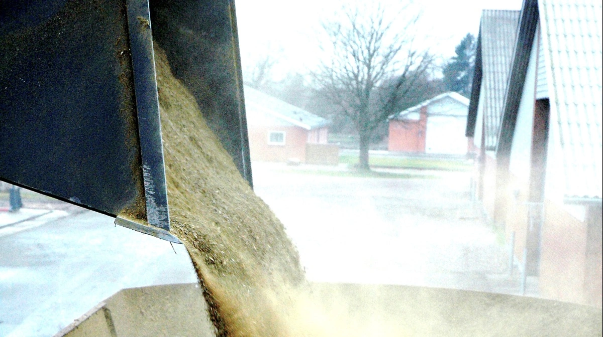 Lavere priser på GMO-sojaskrå giver husdyrproducenter en mulighed for at sikre protein langt frem, påpeger AgroMarkets. Arkivfoto