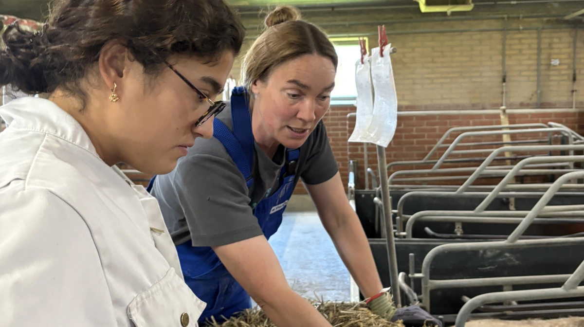 - Kig grundigt på hver enkelt so Sådan lyder rådet fra Mette Hjort, der driver besætningen Dalhus ved Vejle sammen med sin mand. 