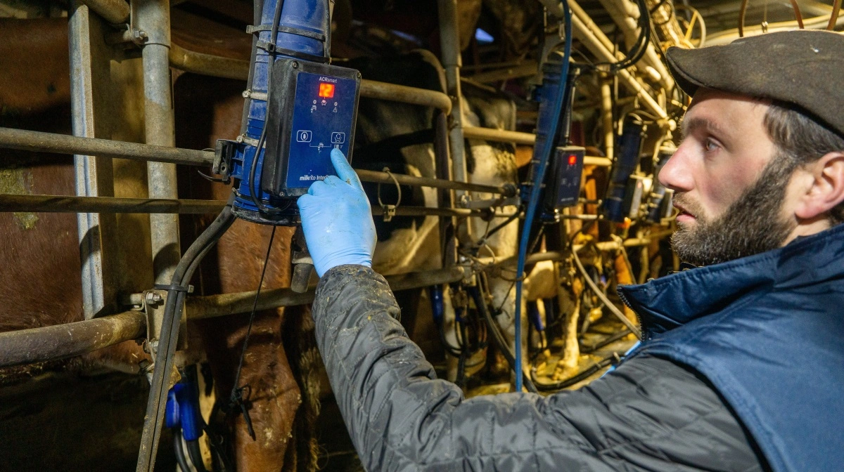 Emil Vest-Hansen har investeret i et simpelt og low-cost malkesystem fra milkrite | InterPuls via Compex.