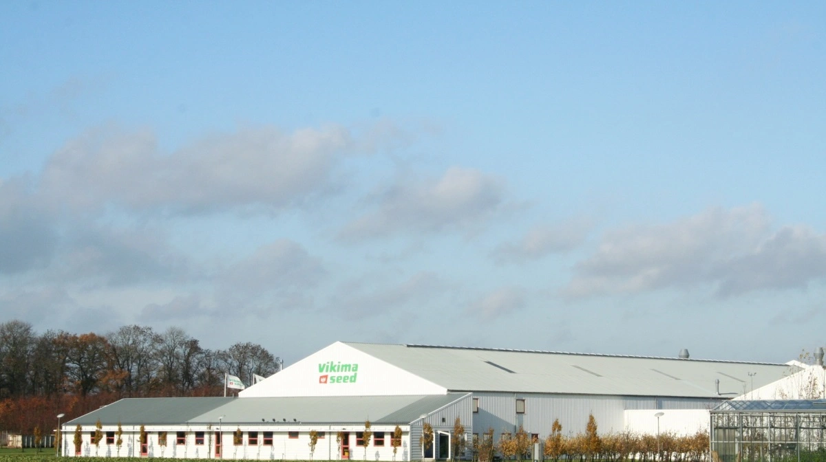 Vikima Seed vækster på bundlinjen og præsenterer et overskud på 32,2 millioner kroner i seneste regnskabsår. Arkivfoto