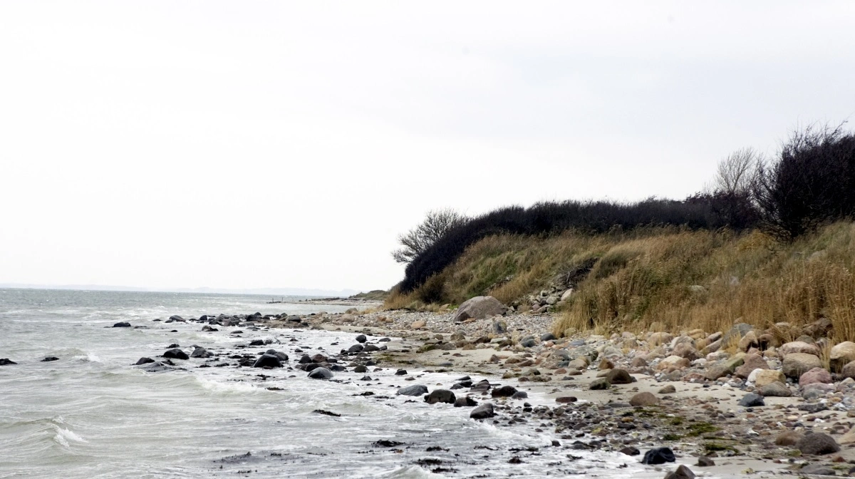 Seges Innovation beregnet en prognose for tildelingen af kvoter på kvælstofudledning til kyst i 2027. Arkivfoto: Erik Hansen