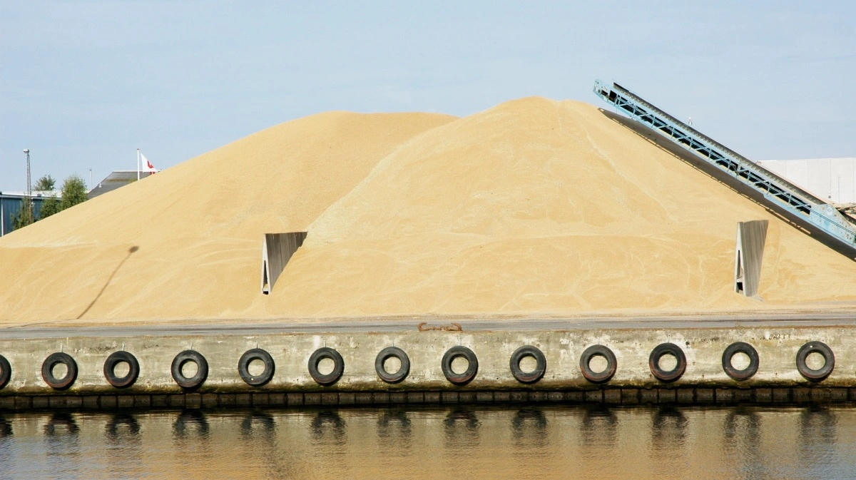 Importen af korn er faldt drastisk. Arkivfoto