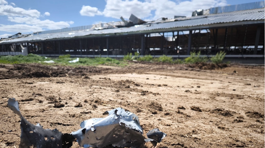 Det er svært at være landmand i Ukraine, særligt nær frontlinjen. Der er adskillige eksempler på, at russiske styrker har angrebet gårde i den sydlige og østlige del af landet. Arkivfoto