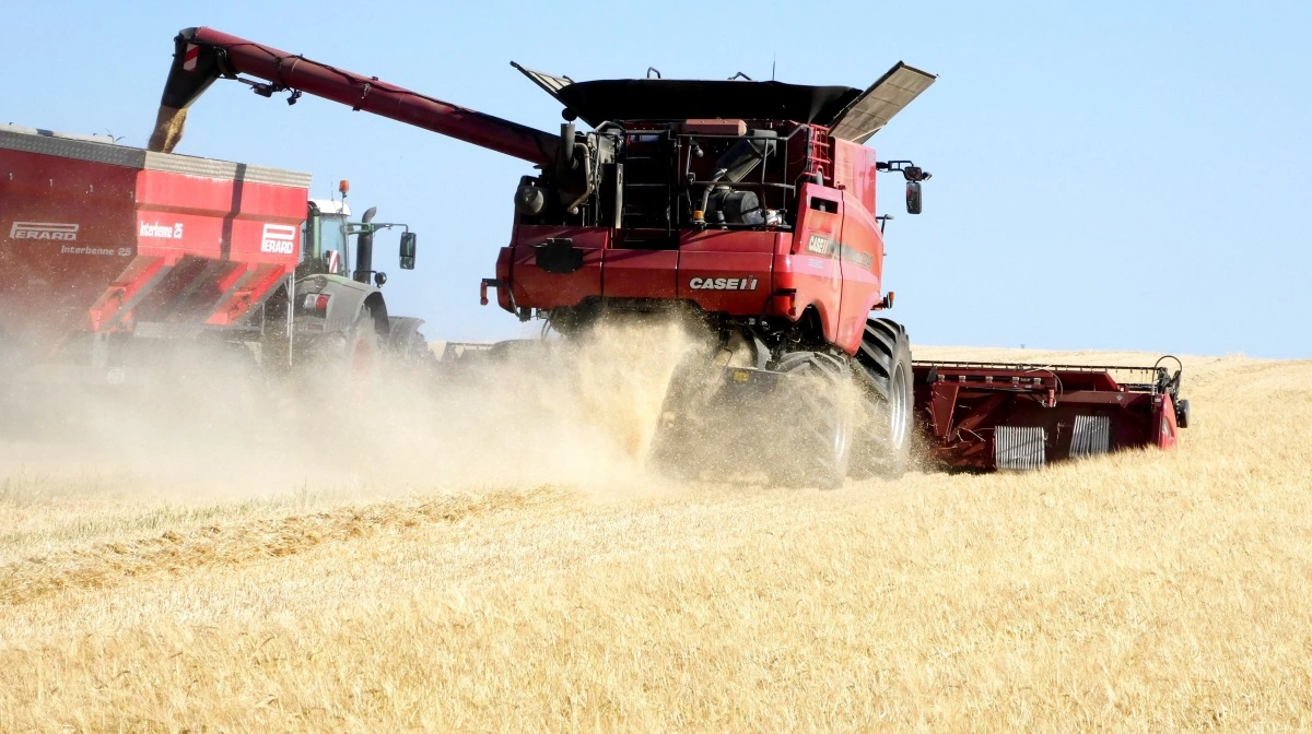 – Ofte er der god mulighed for at afsætte halm til naboer, hvis man har overskud. Derfor er det ikke ligegyldigt at tænke halm ind i økonomien i planteavlen, opfordrer man fra Hornsyld Købmandsgaard. Arkivfoto: Jørgen P. Jensen