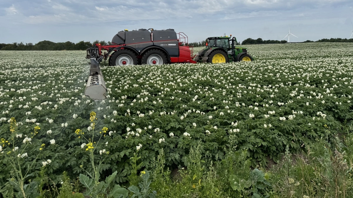 Bæredygtigt Landbrug mener, at forbuddene er fagligt fejlagtige og truer dansk planteproduktion, hvorfor foreningen har anlagt sag mod staten. Arkivfoto: Kasper Stougård