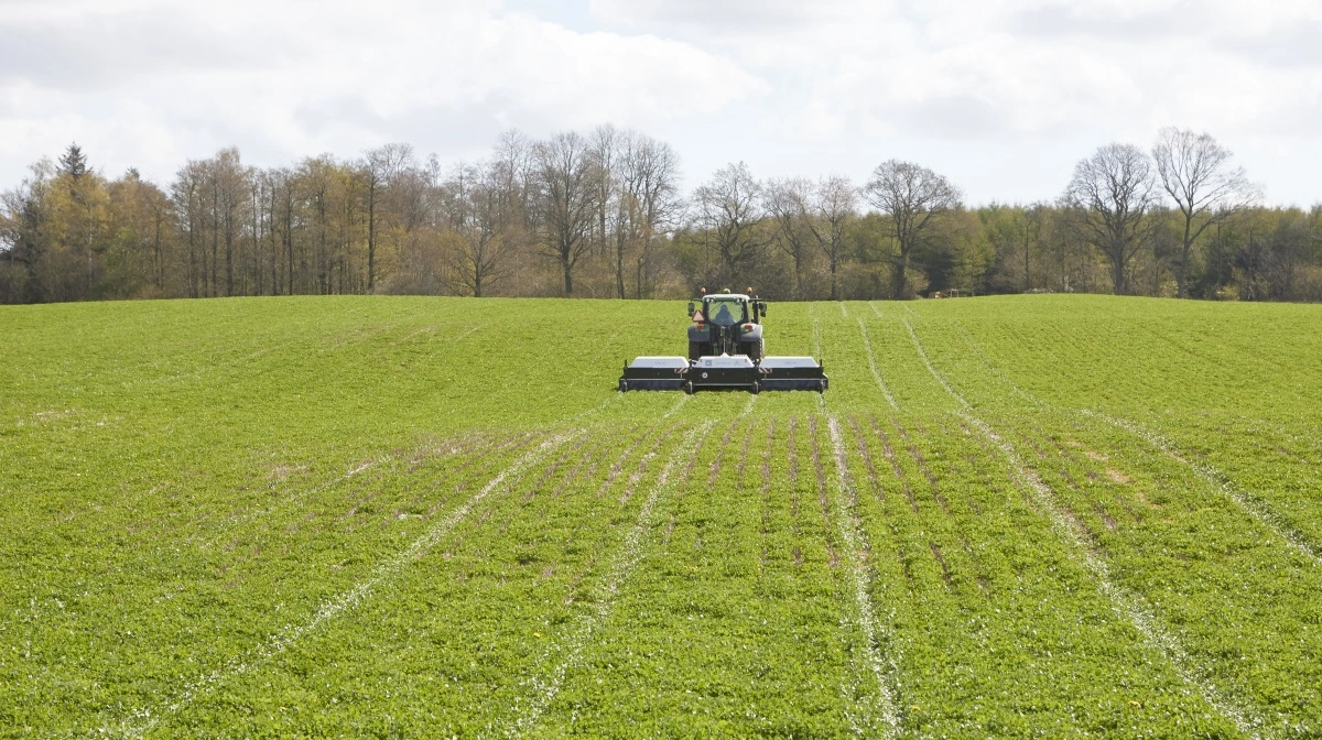 Frøavlen er presset fra flere sider, men på Frøsektionens årsmøde onsdag blev det klart, at man ubetinget tror på en fremtid for danske kvalitetsfrø. Arkivfoto: Erik Hansen