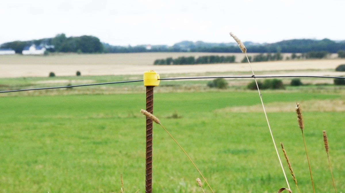 Med den nye opgørelse har den gennemsnitlige jordpris igen passeret 200.000 kroner pr. hektar. Arkivfoto