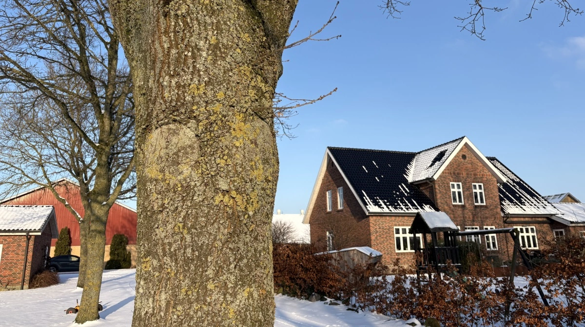 Bedriftens stuehus – stadig iklædt vinterens farver, da avisen var på besøg – bebos i dag af Morten Tambour, hans kone og tre døtre. Hans forældre Pia og Boye er flyttet ind til Maribo.