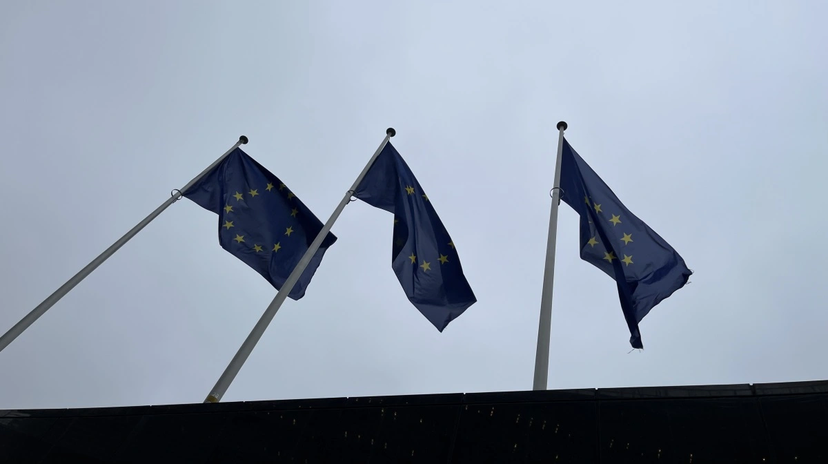 Der er EU-penge i planteavl. Hvis man ellers får udfyldt ansøgningen korrekt og får den sendt afsted til tiden. Foto: Christian Ingemann  