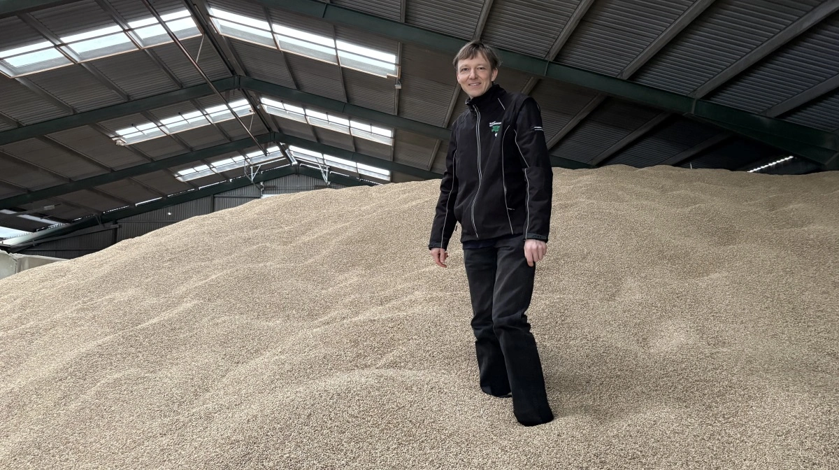 Helge Danneskiold-Samsøe plantet i en del af maltbyghøsten fra 2025. I år dyrkes der fire forskellige slags afgrøder på de omkringliggende arealer.