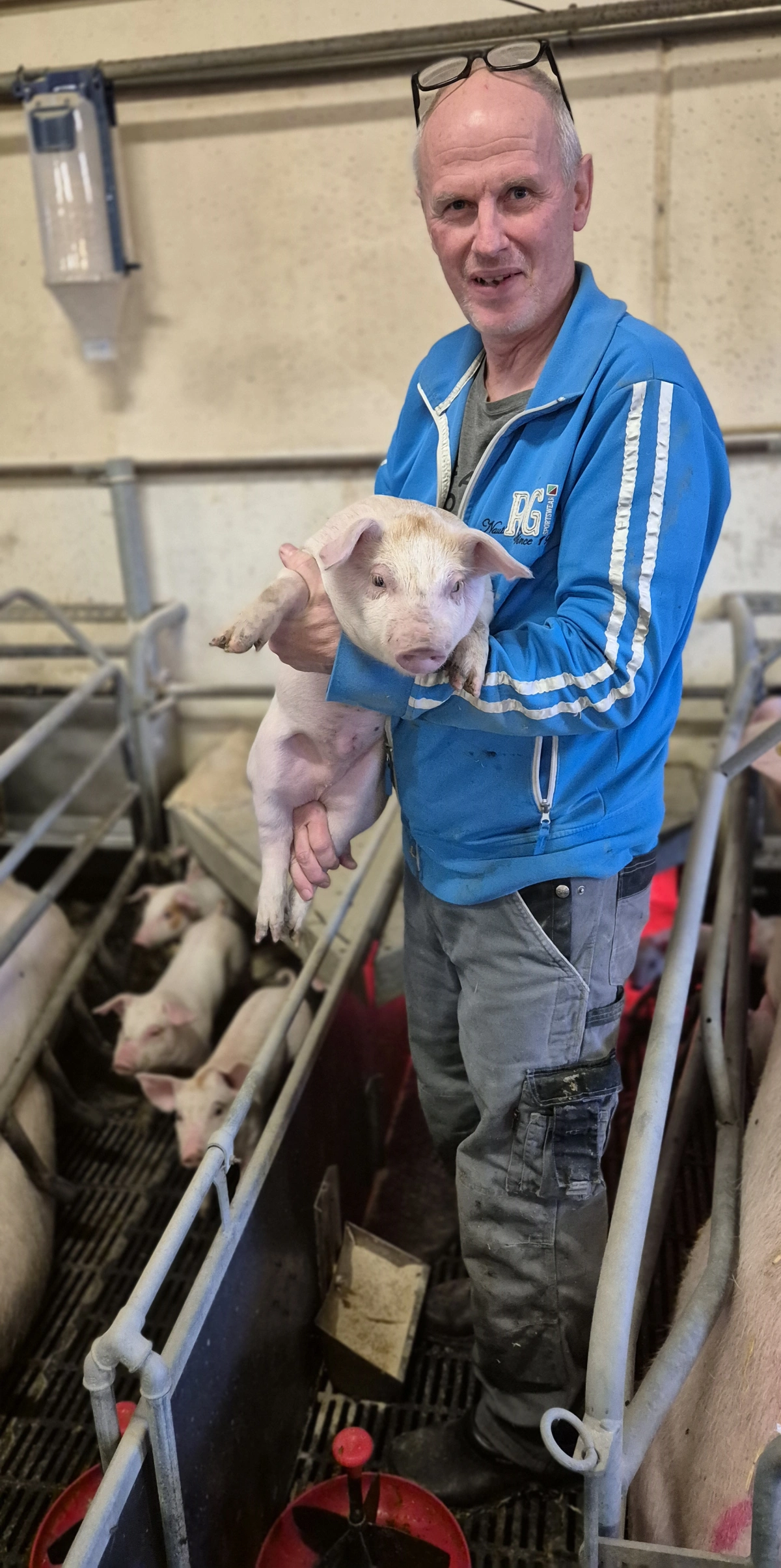 Jens Jørgen Kær kunne i efteråret ved selvsyn se, at grisene blev mere runde i farestalden. - Den største vejede 13 kg, 28 dage gammel, siger han.