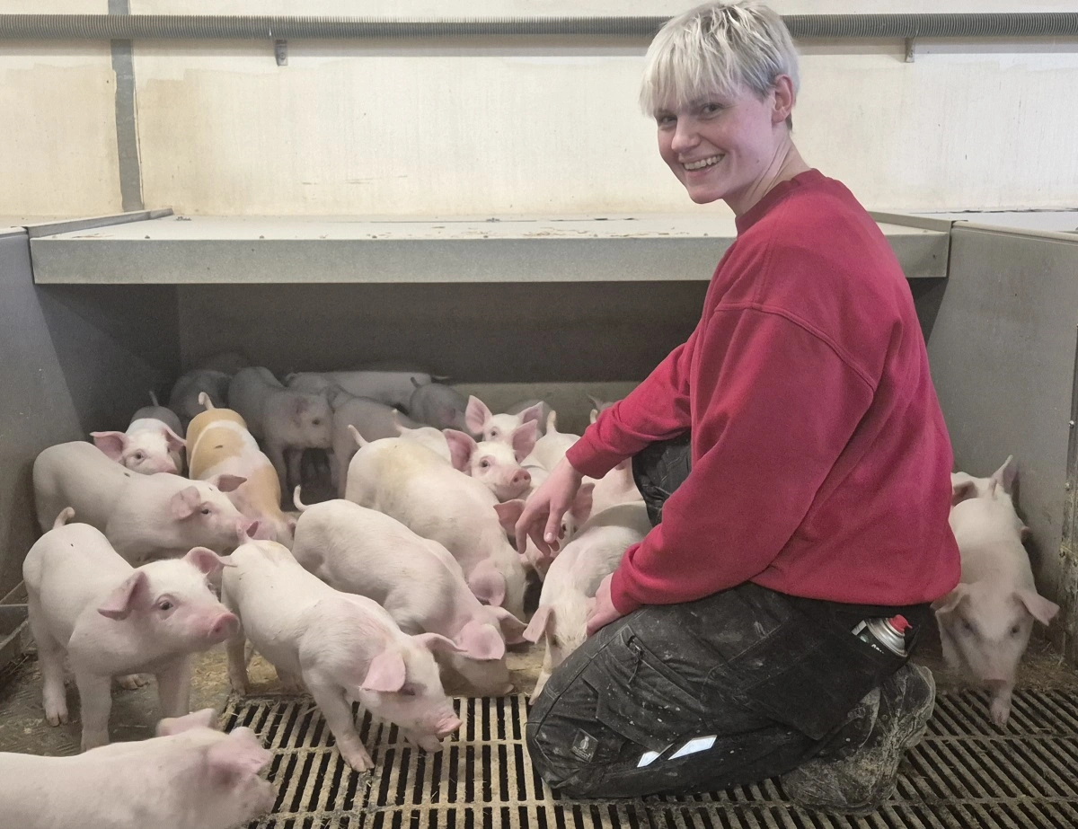 I klimastalden er dødeligheden er gået fra 4,7 til 3,5 procent inklusive brokgrise, som skønnes at udgøre omkring halvdelen. Samtidig er den daglige tilvækst steget til over 500 gram dagligt. 