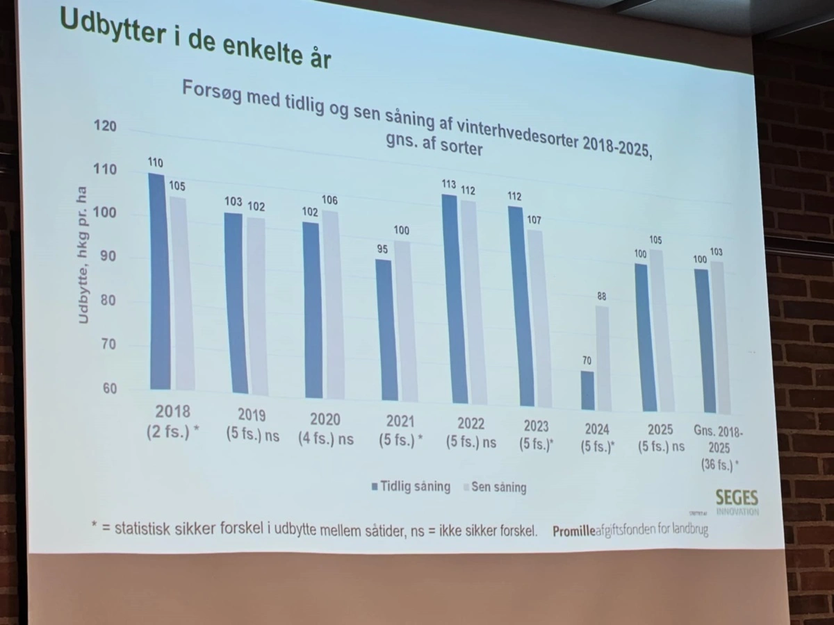 Gennemsnitlige udbytter af vinterhvedesorter fra 2018 til 2025 for henholdsvis tidlig og sen såning.