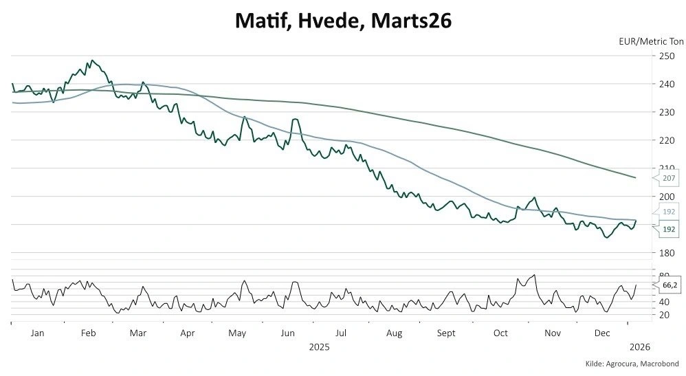 Grafen for Matif-hvede marts 2026 viser en klassisk nedtrend gennem store dele af året, men også klare tegn på, at salgspresset er ved at ebbe ud, skriver Mikkel Ebbesen i sin analyse.