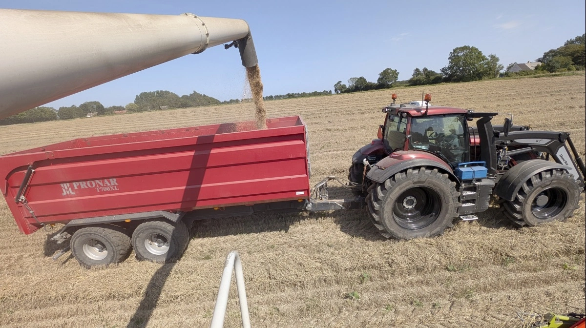 Efter et langt og sejt prisfald, en rolig december og tydelige tegn på stabilisering, taler den tekniske analyse for, at markedet er tættere på en bund end på nye større fald. Arkivfoto: Erik Hansen