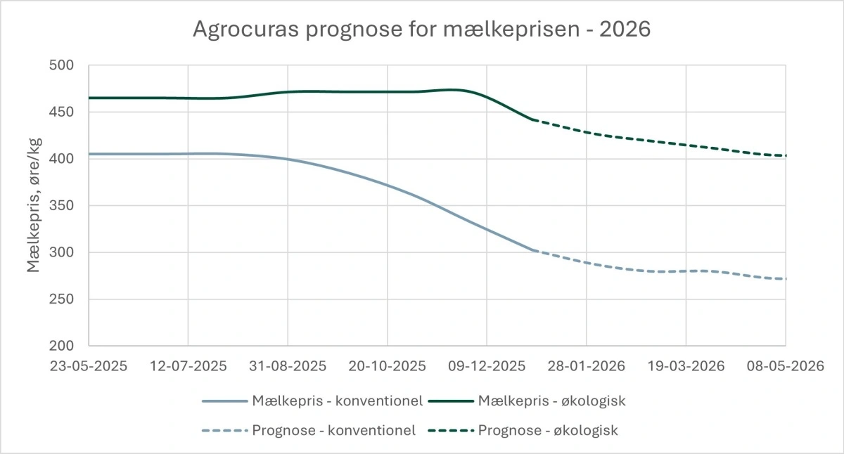 Figur 1: Agrocuras forventning til udviklingen i den økologiske mælkepris i de kommende måneder. 